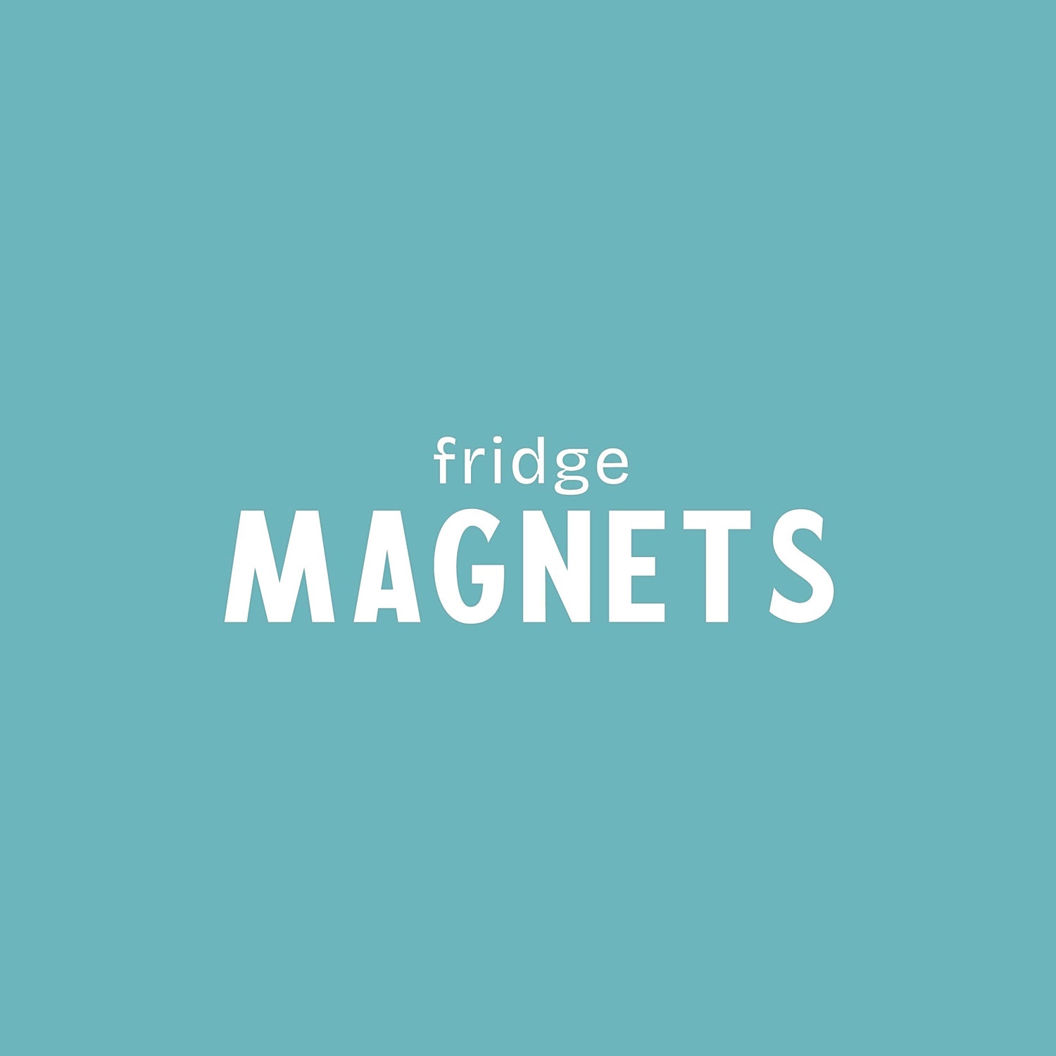 Fridge Magnets